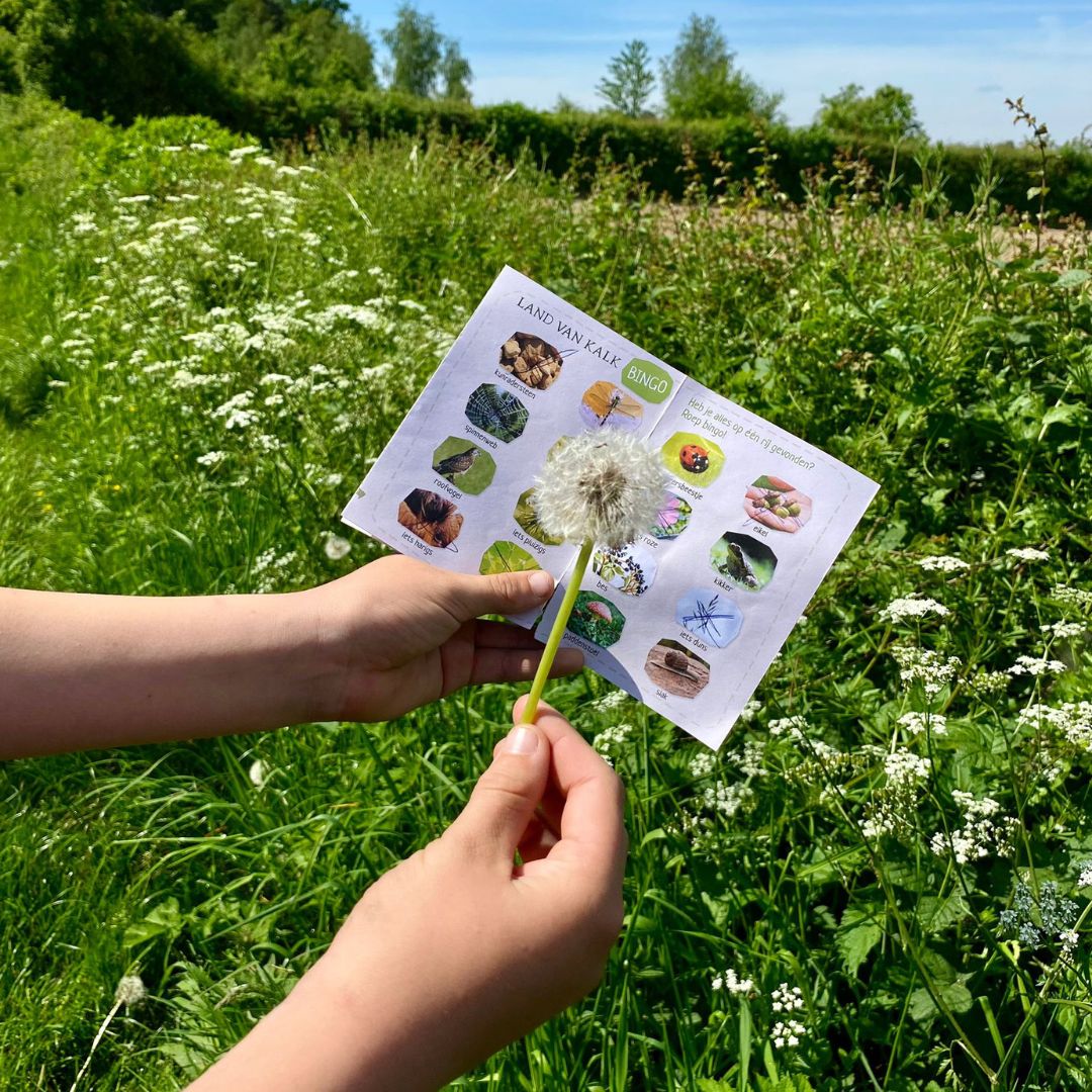 Land van kalk kinder expeditie bingo boekje