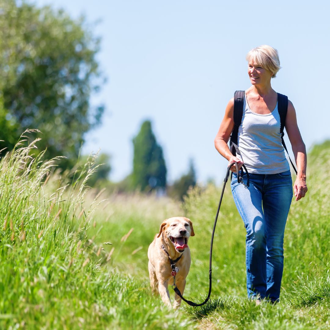 Wandelen Kelpen-Oler