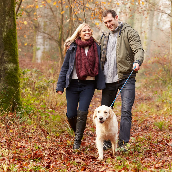 Koppel aan het wandelen met hond