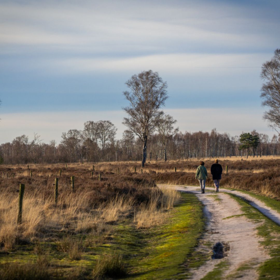 Wandelen winter
