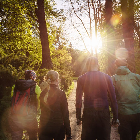 Wandelen