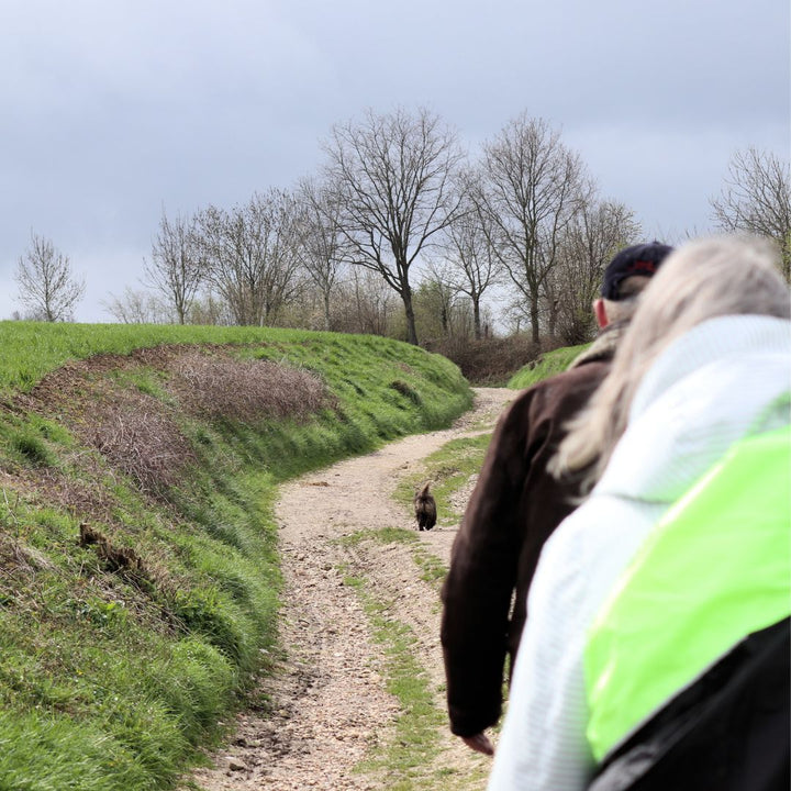 Historische en culturele Wandeling Buro Zuid-Limburg