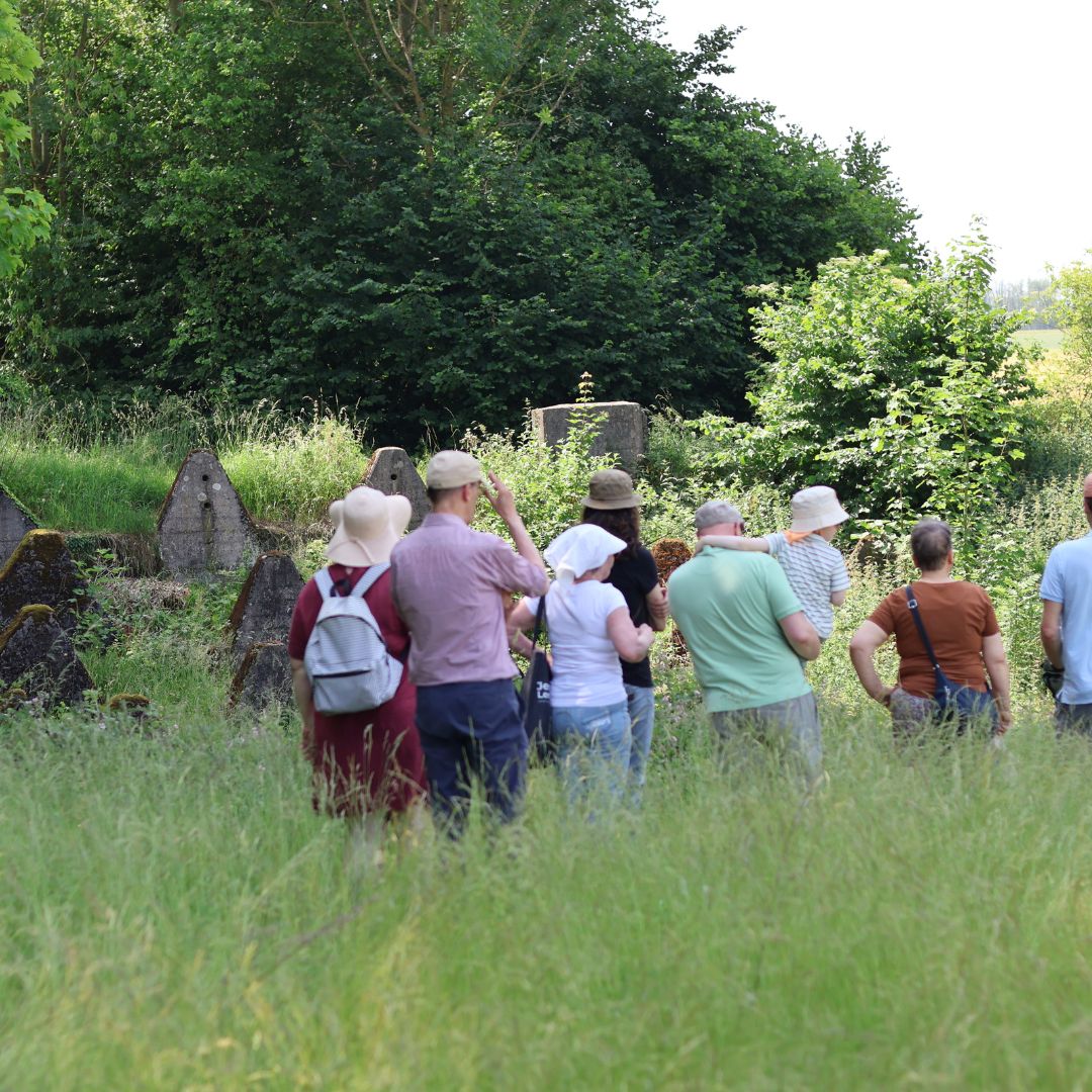 Wandeling van Buro Zuid-Limburg