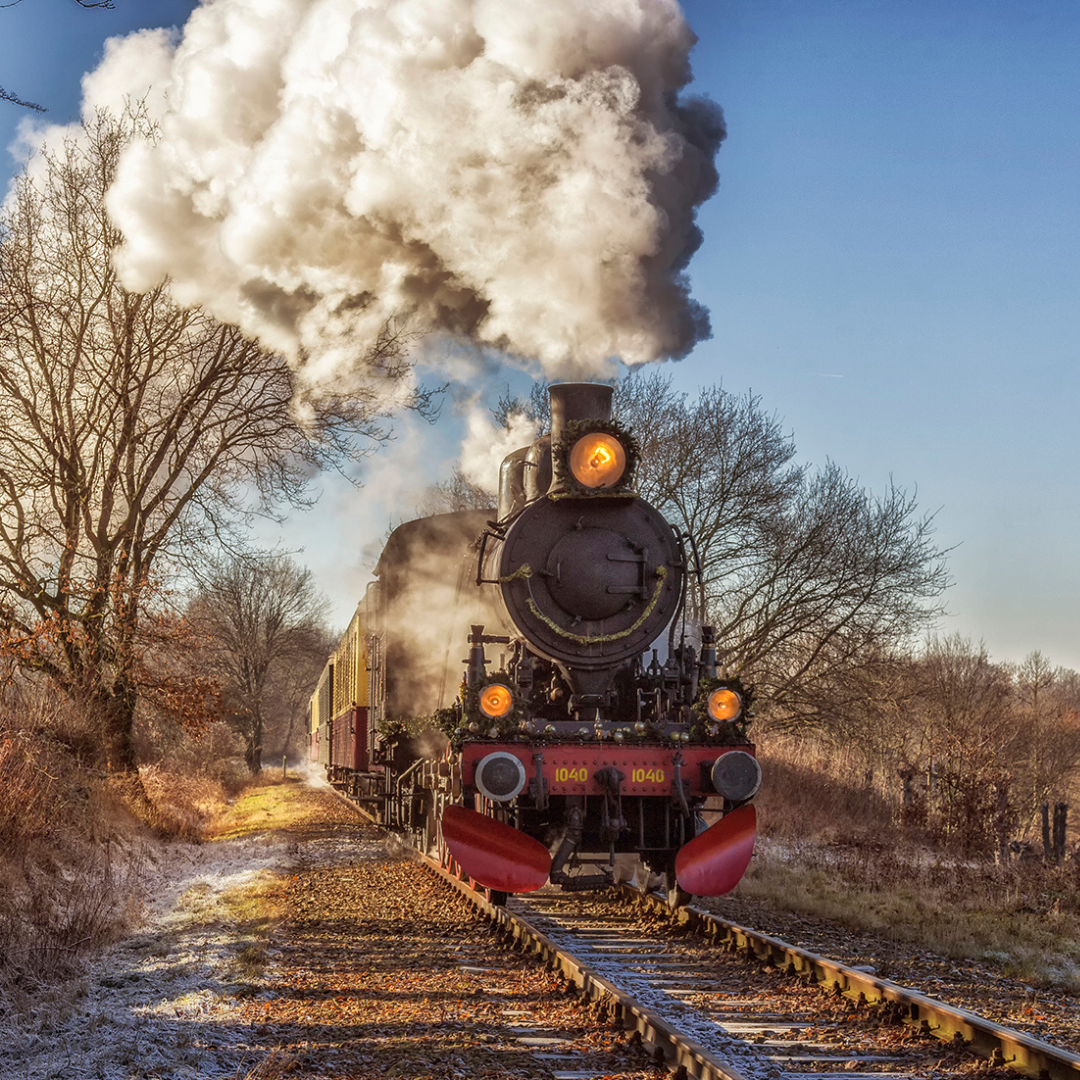 Bourgondisch Miljoenenlijn Kerstarrangement | Stoomtrein & Brand Bierbrouwerij