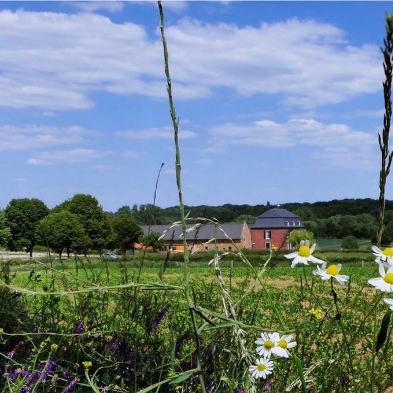 landgoed brasserie nieuw ehrenstein