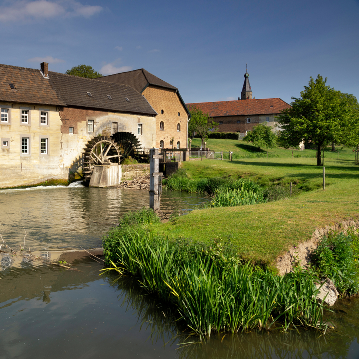 Amuse wandeling Wijlre
