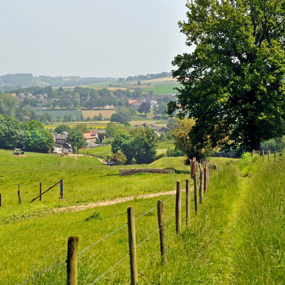 Amuse wandeling Wijlre