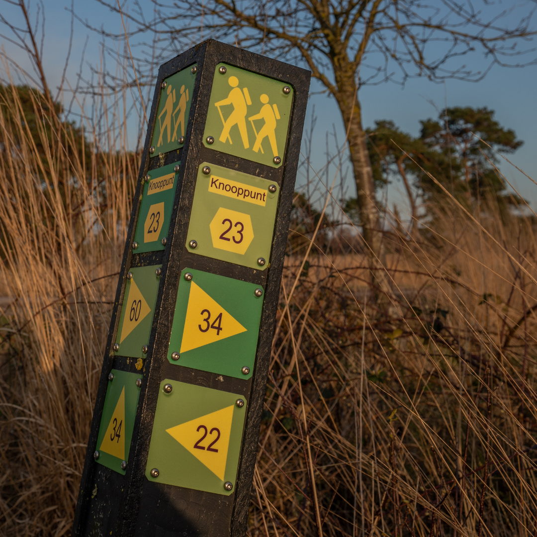 De smakelijkste wandelarrangementen van Noord-Limburg