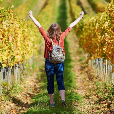 5 Fantastische wijnwandelingen in Limburg (en vlak over de grens in België)