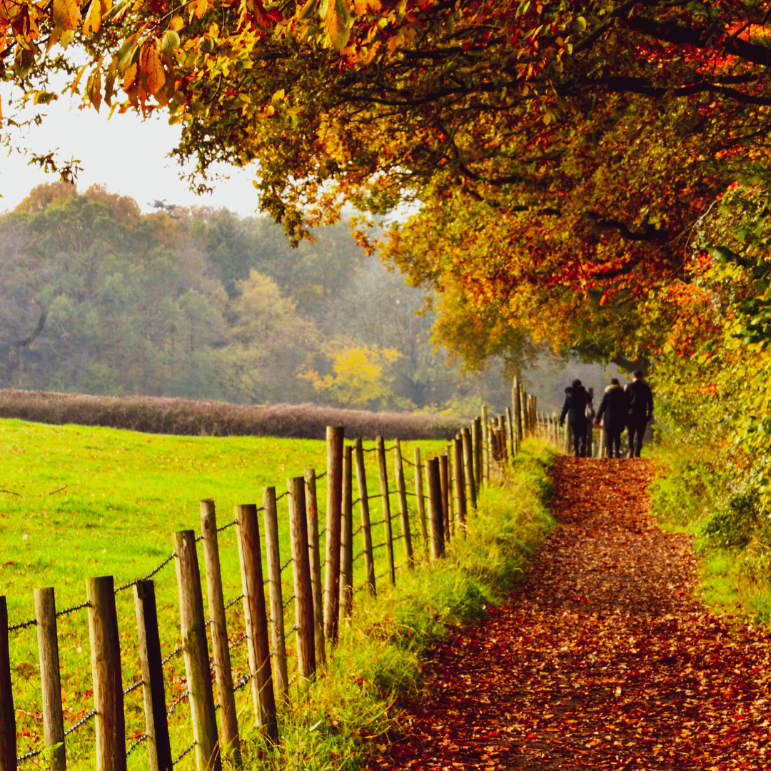 5 tips voor een heerlijke herfstwandeling in Limburg!