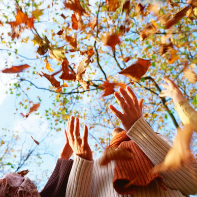 Beleef een geweldige herfst!