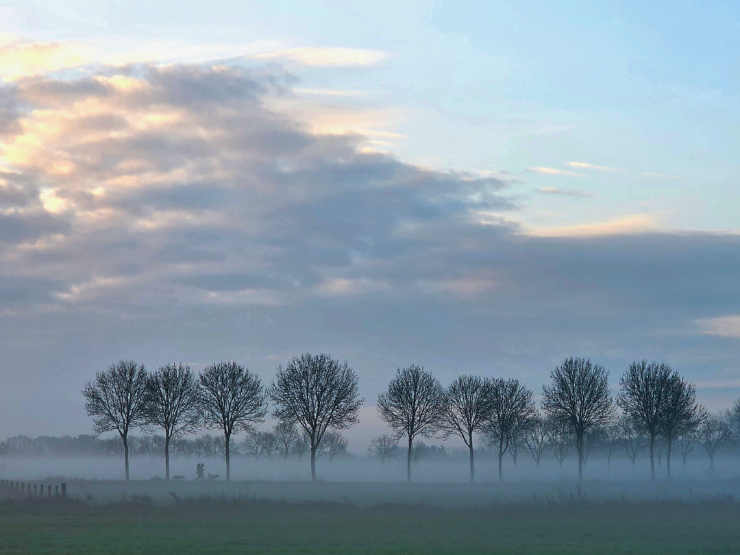 Bourgondische Winter Wandeling Roerdalen
