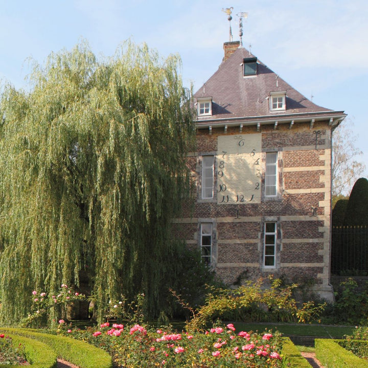 Kasteel wijlre