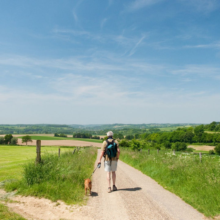 Wandelen Zuid-Limburg