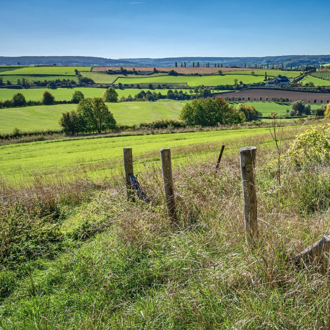 Wandelen Zuid-Limburg