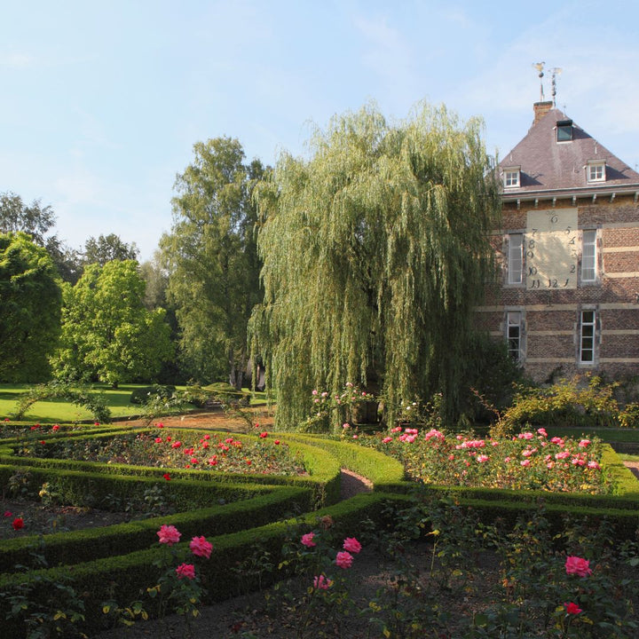 Kasteel wijlre