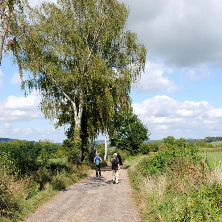 Wandelen Zuid-Limburg
