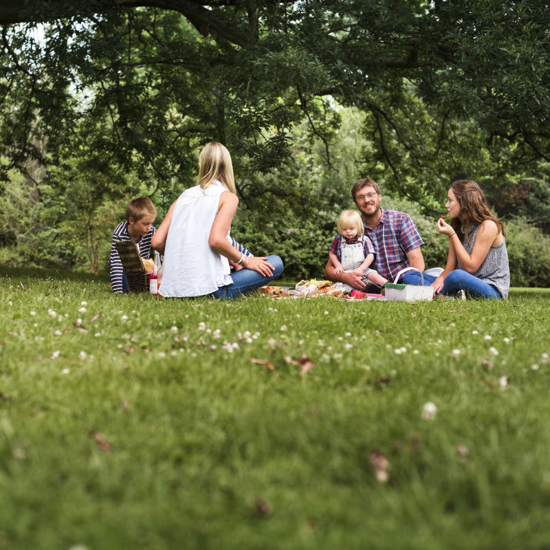 Quiet Ticket - Landgoed picknick in Maastricht op zondag 25 juni