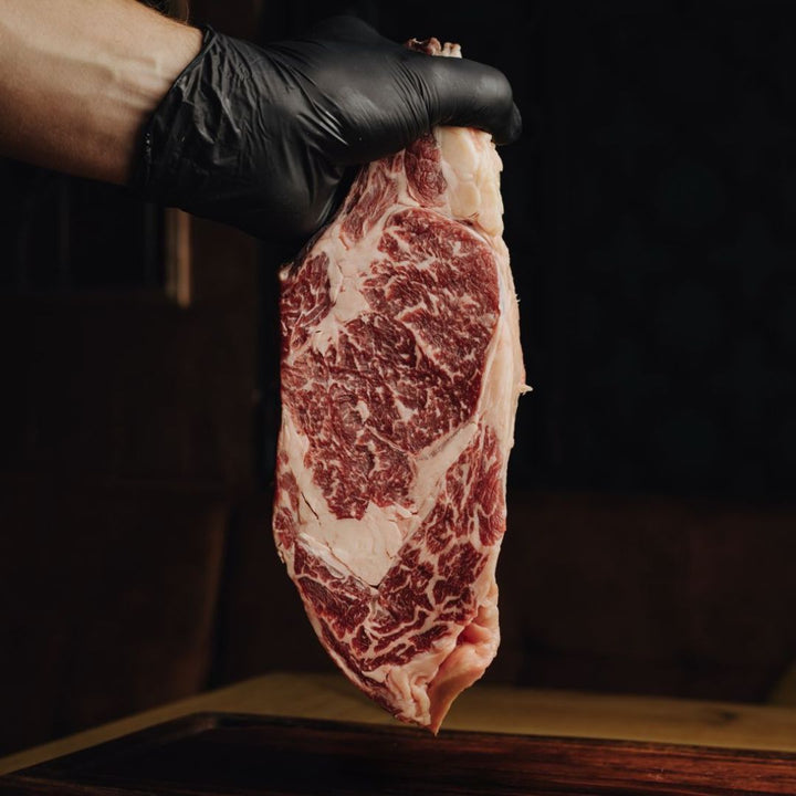 Carnivor steakhouse