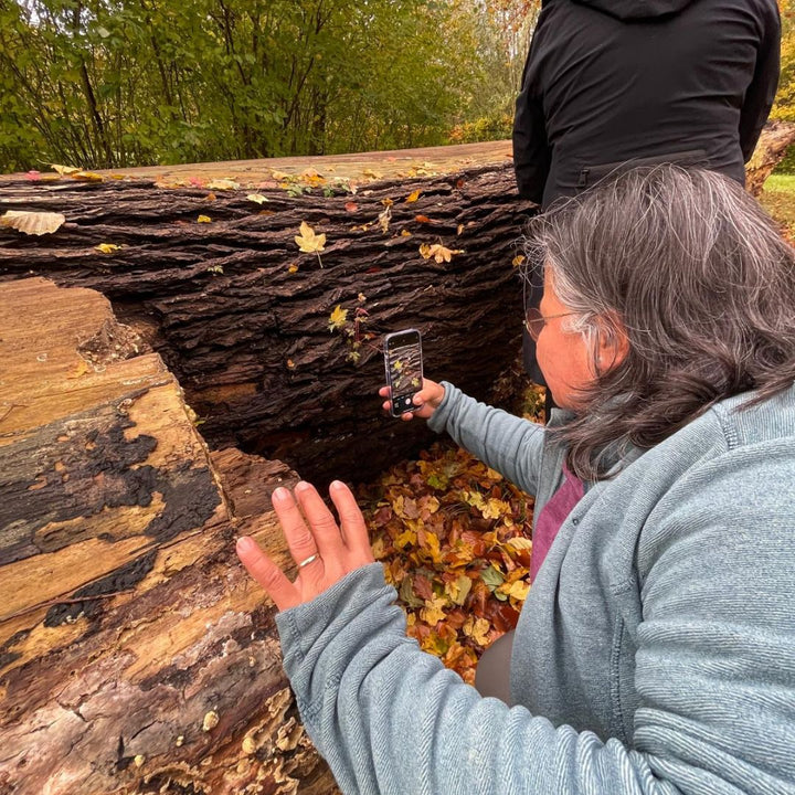 Smartphone fotoworkshop Limburg 