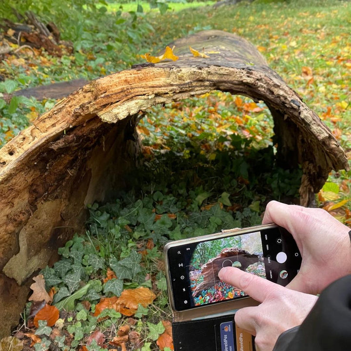 Smartphone fotoworkshop Limburg 