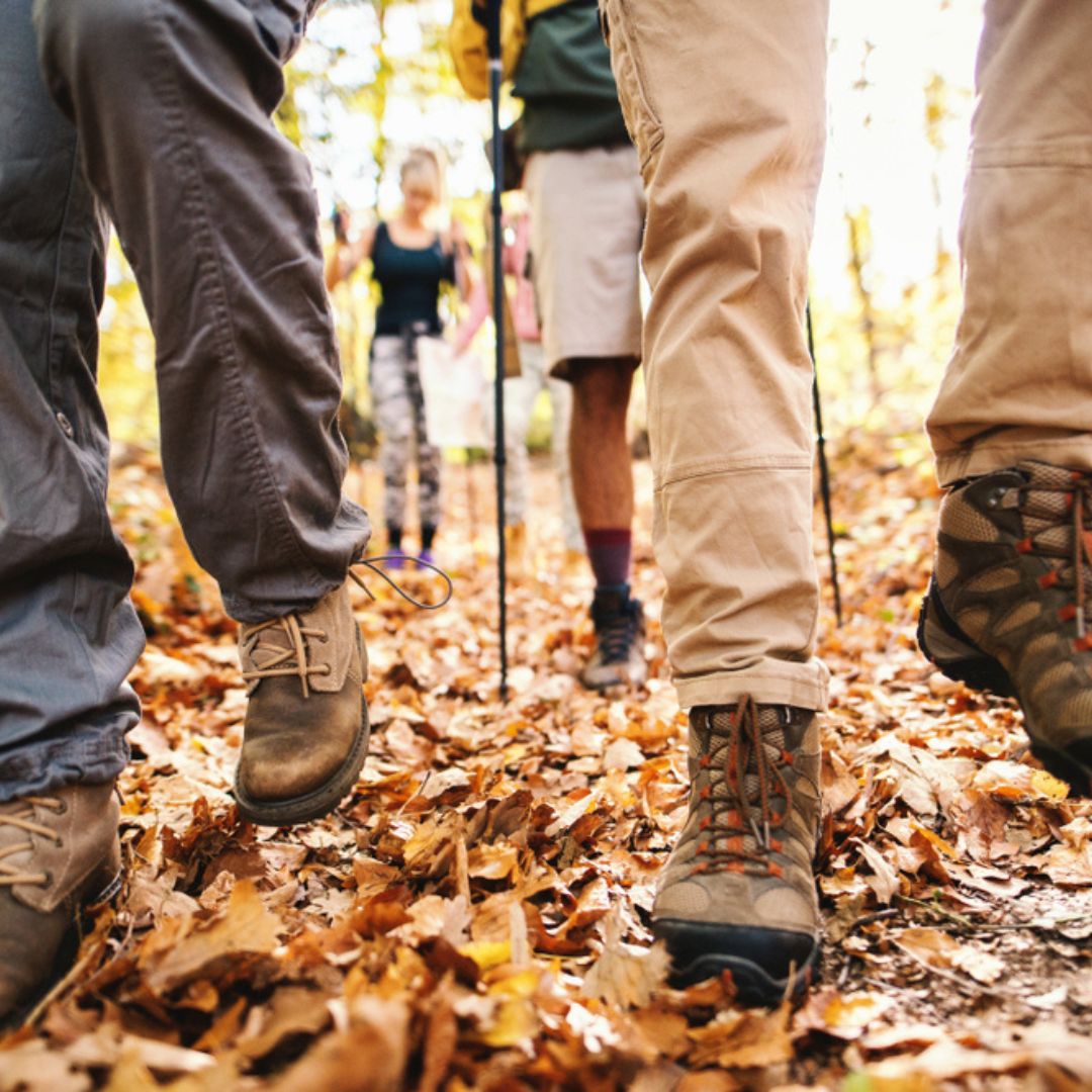 Wandeling | van Landschap naar Verbeelding