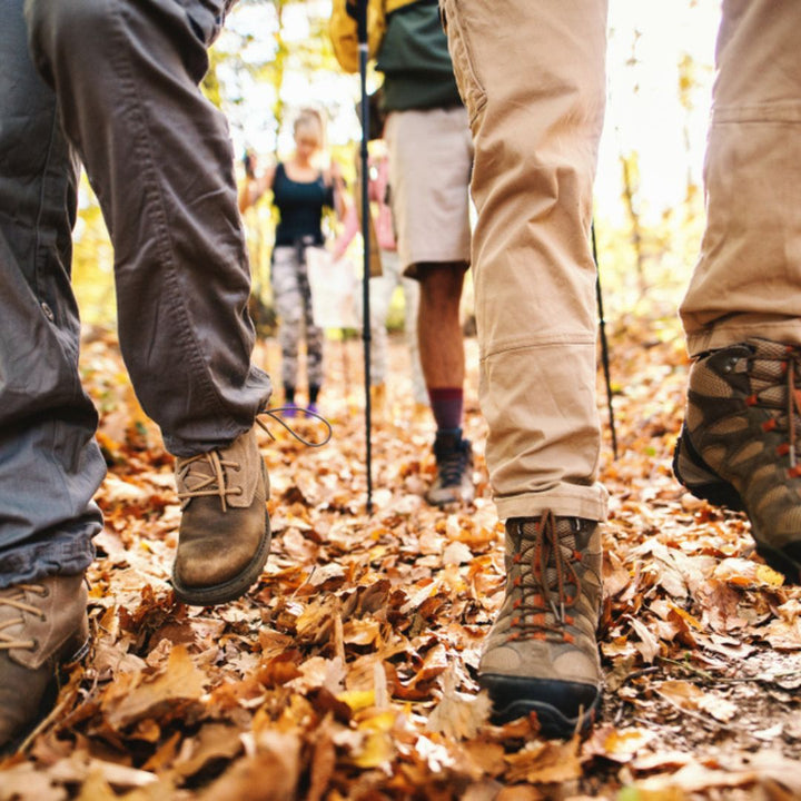 Wandeling | van Landschap naar Verbeelding
