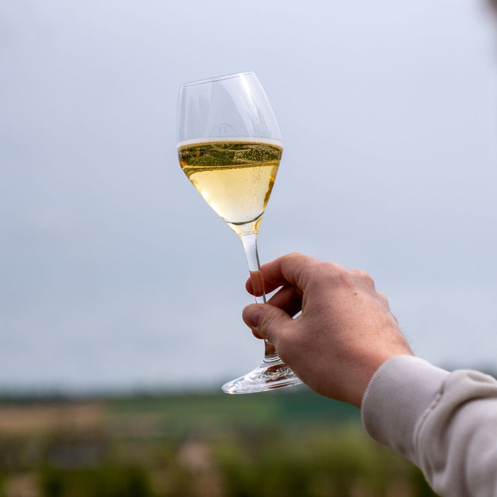 Mousserende wijn van Domein Holset