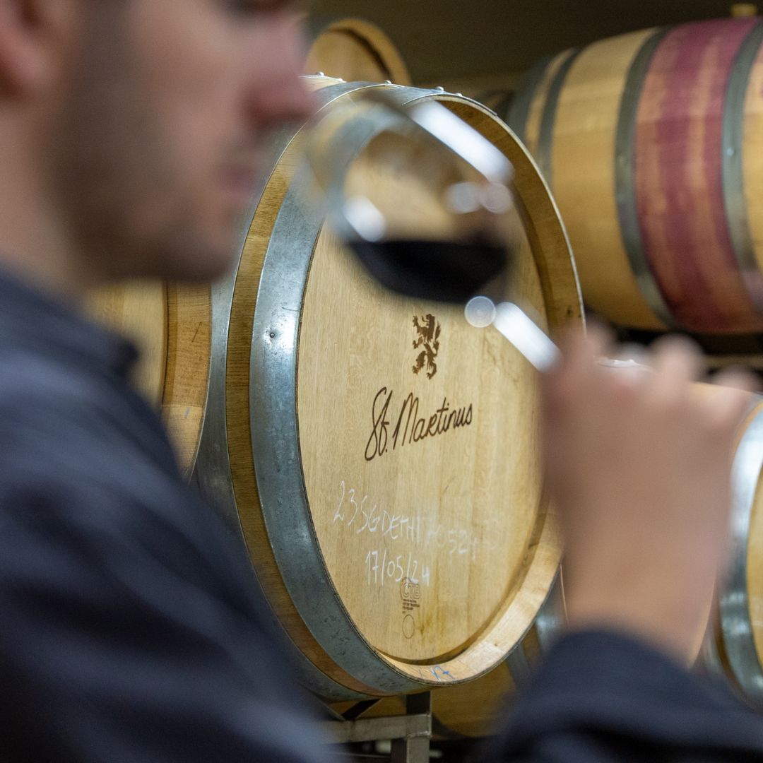 Wijn drinken bij St. Martinus