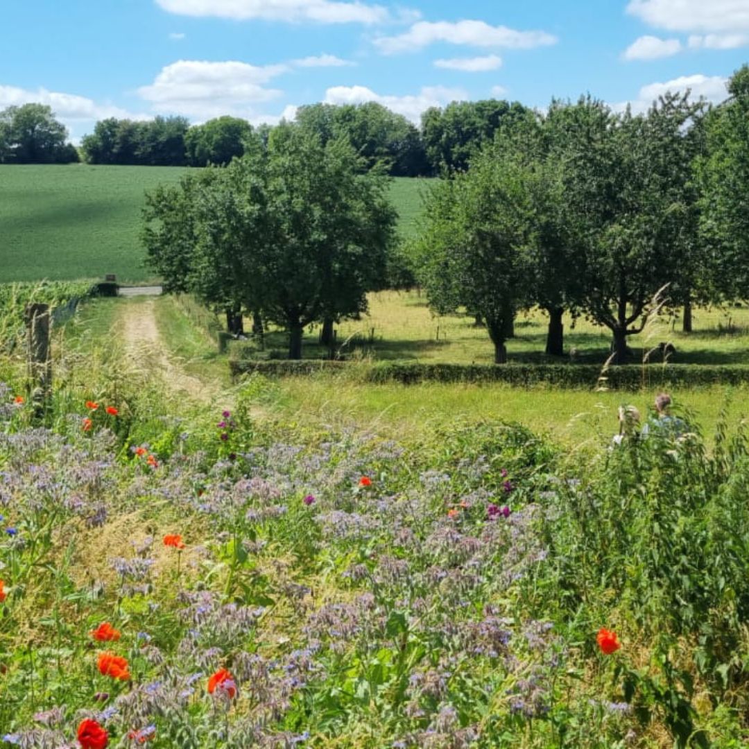 Fotowandeling Eyserhof op 29 augustus