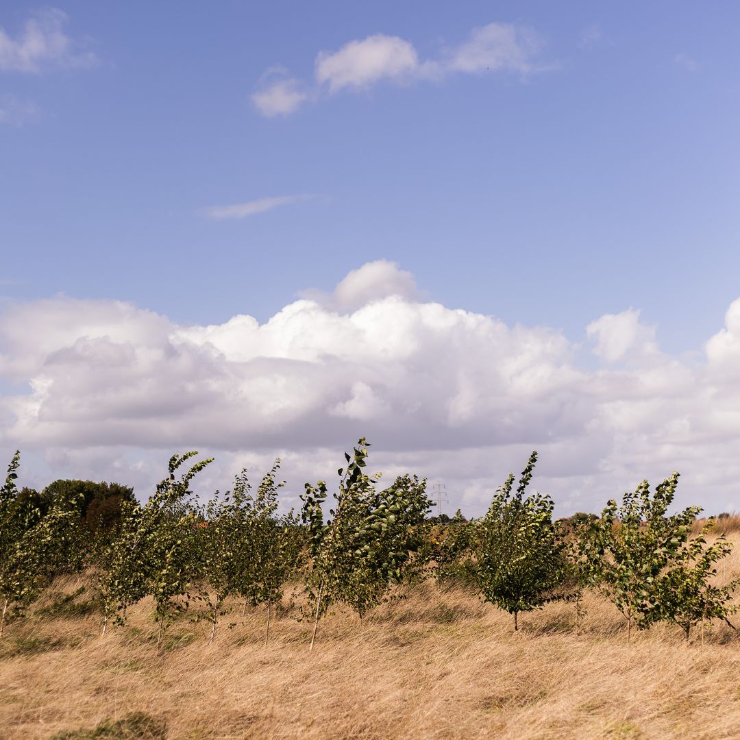 natuurboerderij lubosch land 