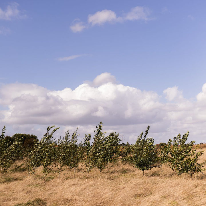 natuurboerderij lubosch land 
