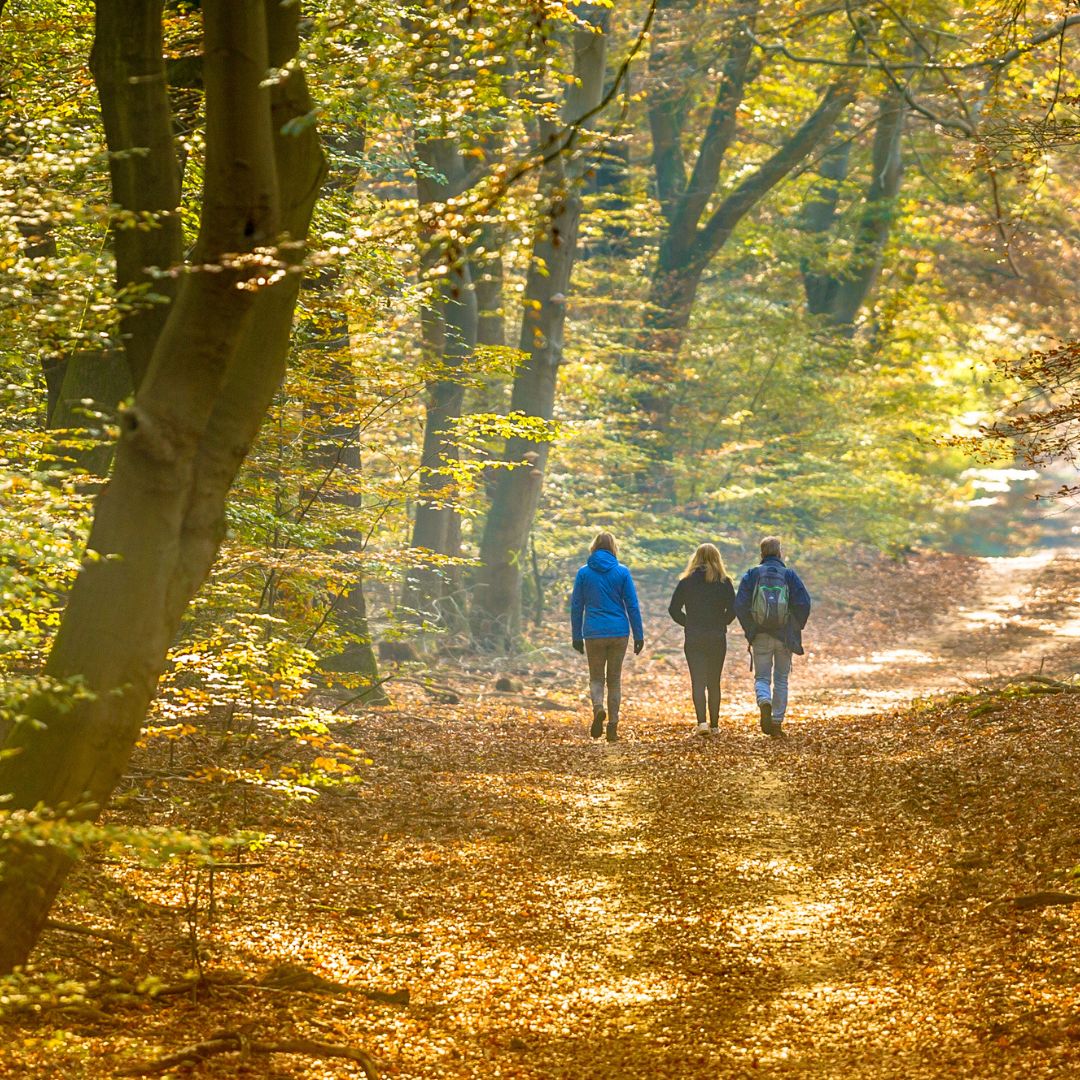 Smartphone fotoworkshop, -wedstrijd & Film in de Dutch Mountains: Het Land van Kalk
