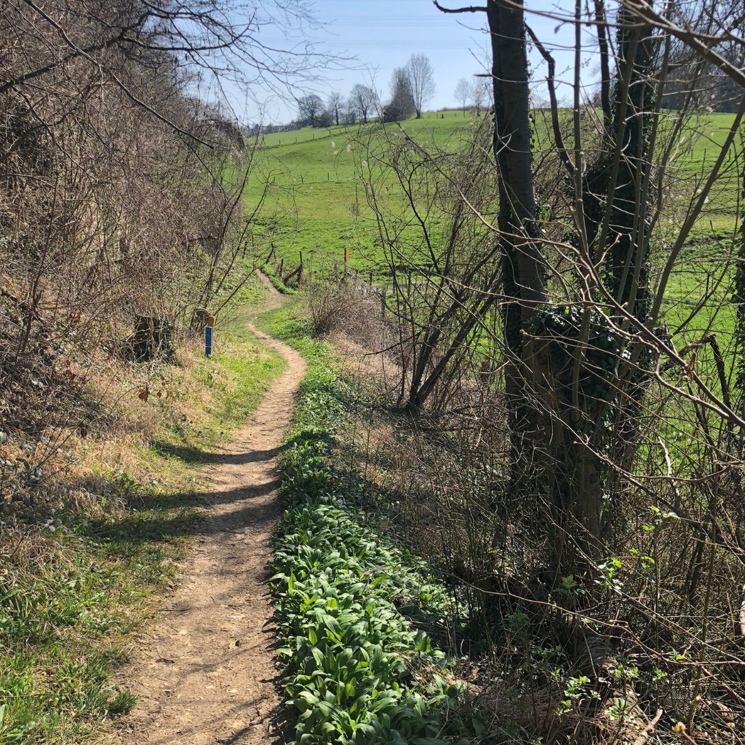 Smartphone fotoworkshop, -wedstrijd & Film in de Dutch Mountains: Het Land van Kalk