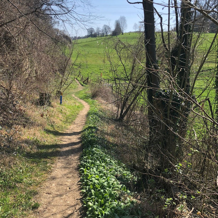 Smartphone fotoworkshop, -wedstrijd & Film in de Dutch Mountains: Het Land van Kalk