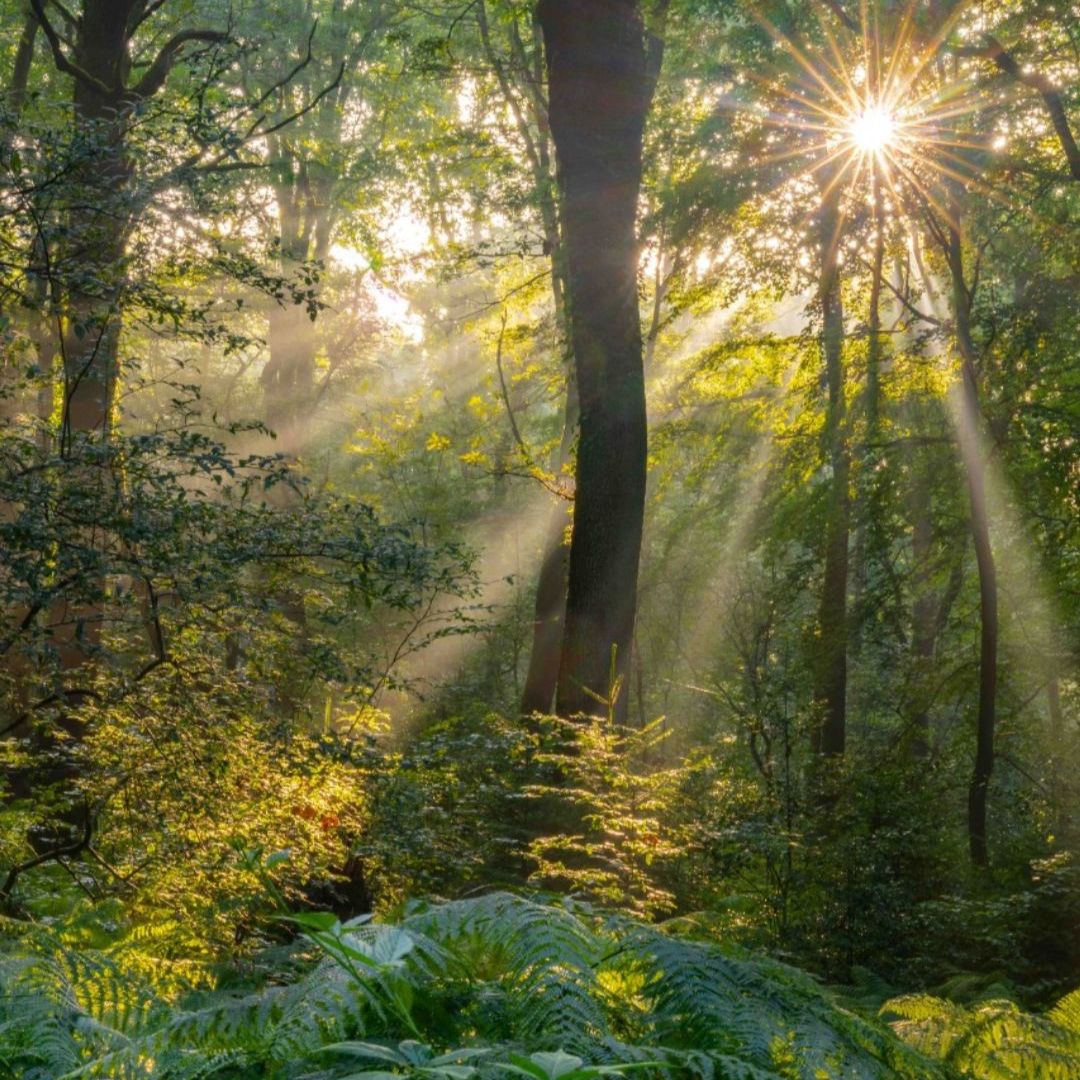 Smartphone fotoworkshop, -wedstrijd & Film in de Dutch Mountains: Het Land van Kalk