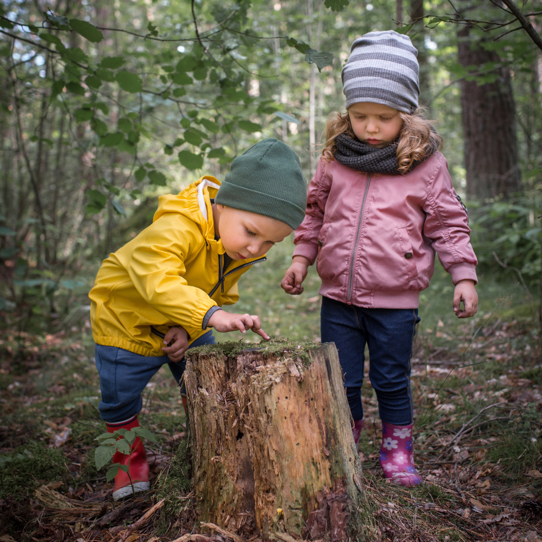 Twee peuters in het bos