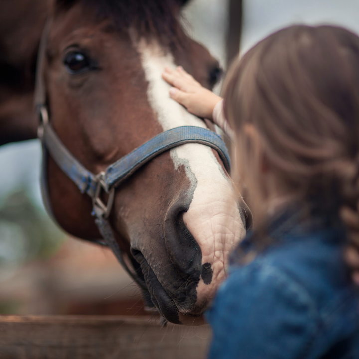 Kind aait paard
