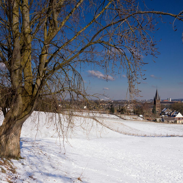 Sint Pieterberg met sneeuw