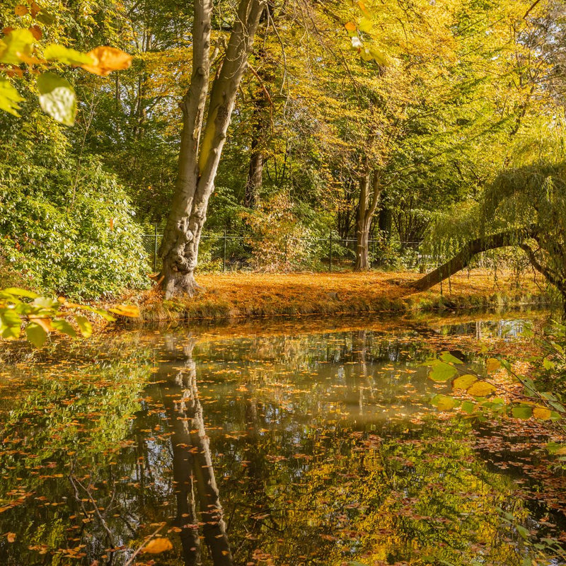 Kloostertuin Simpelveld