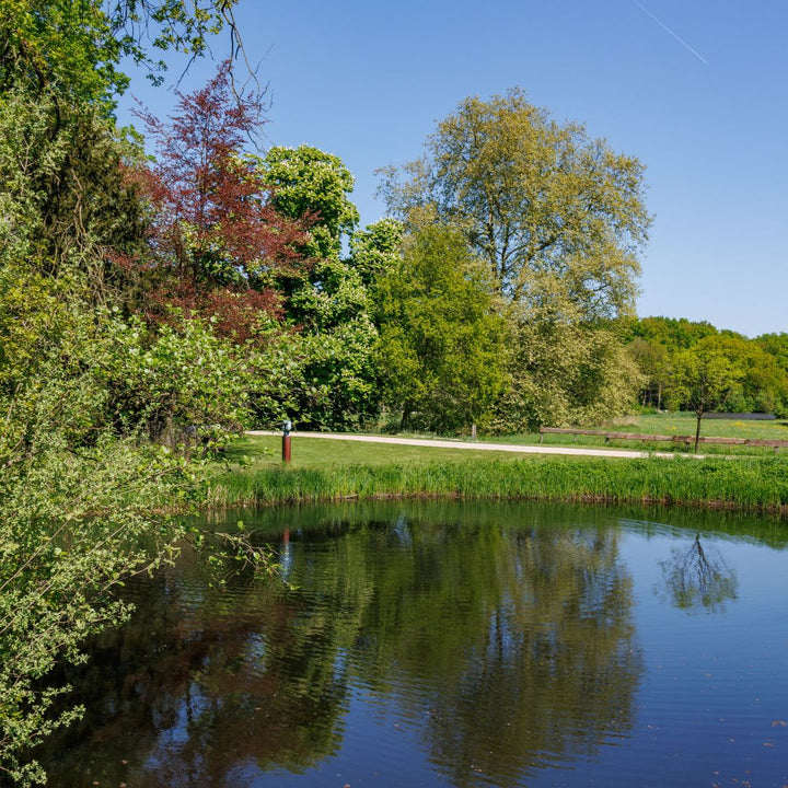 Twente