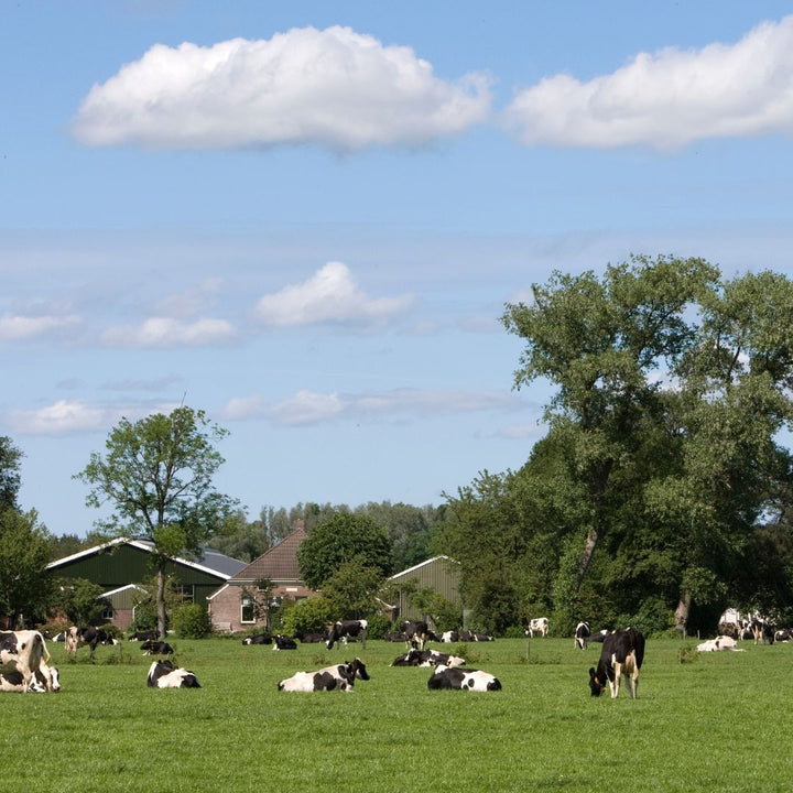Hap & Trap Rond de Maas in Wanssum