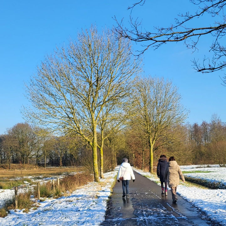 Bourgondische Winter Wandeling Roerdalen