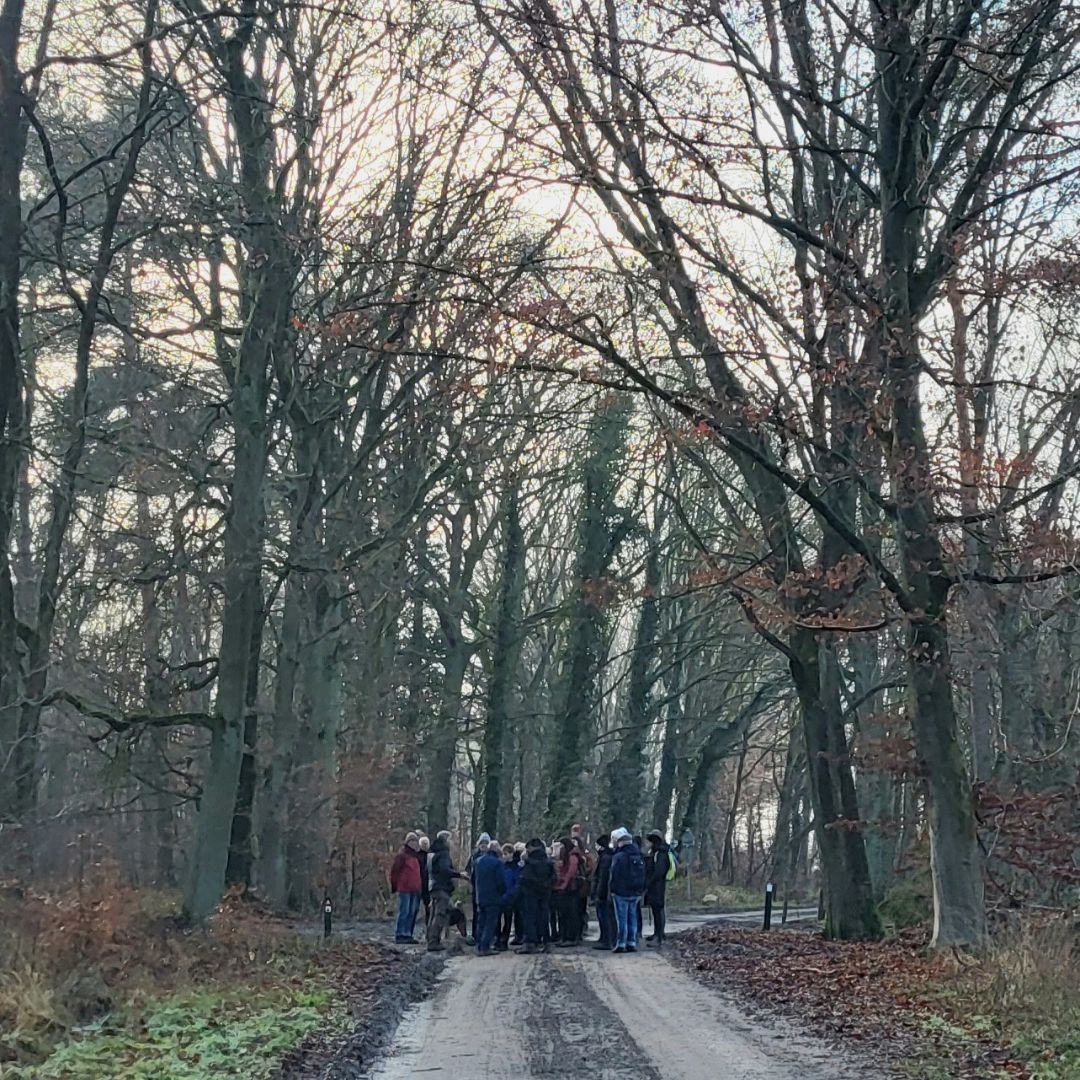 Bourgondische Winter Wandeling Roerdalen