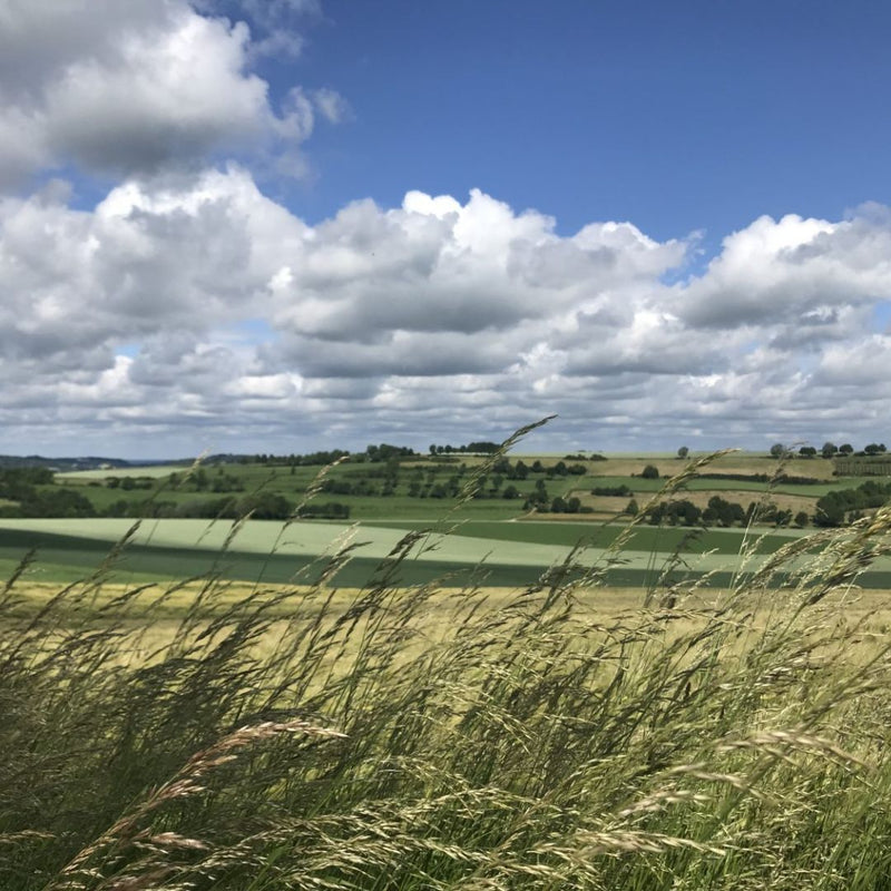 Zuid-limburg