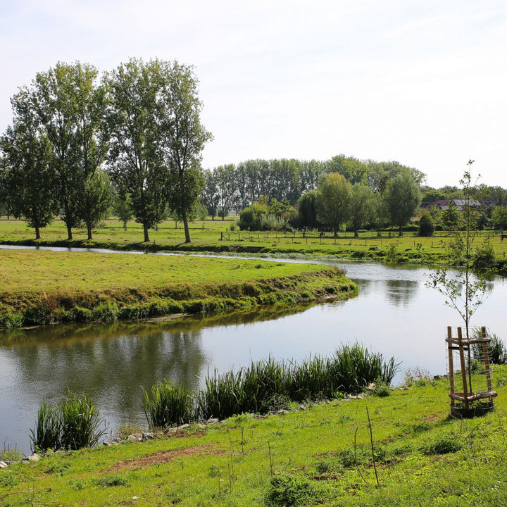 Land en water