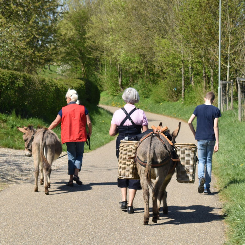 Ezel Safari bij Hof Kricheleberg in Bocholtz