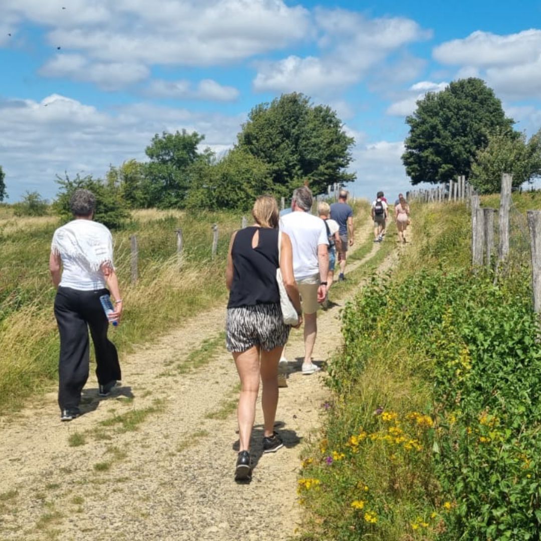 Wandelen in Land van Kalk
