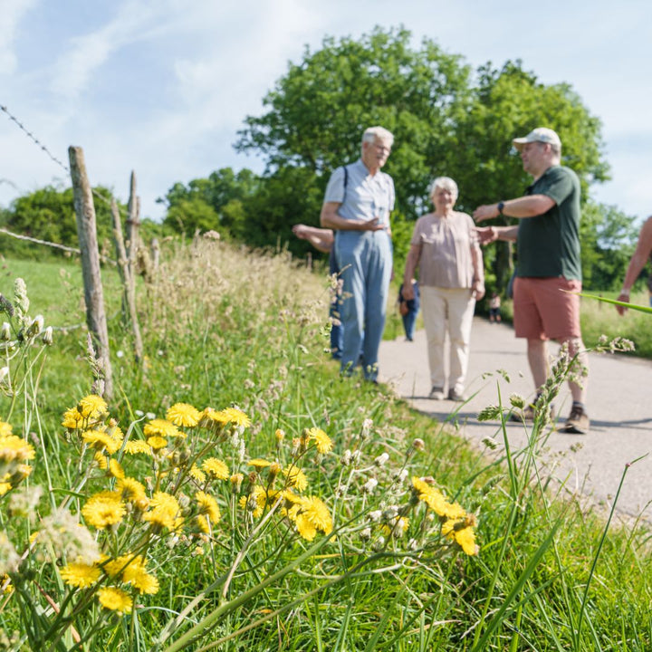 Wandelen in Land van Kalk