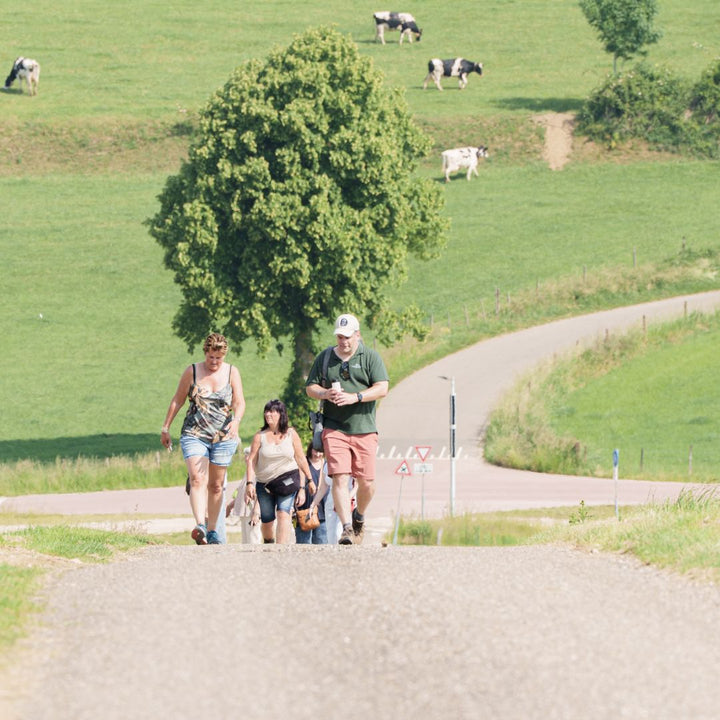 Wandelen in Land van Kalk
